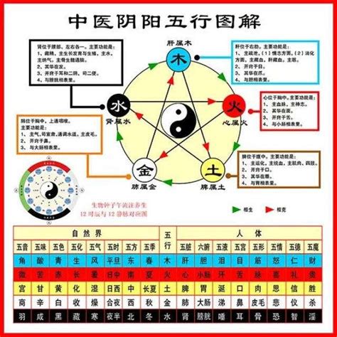 中醫五行歸類表|史上最全中醫五行系統對照表（值得收藏）